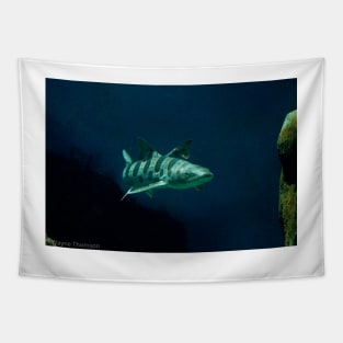 Leopard Shark Tapestry