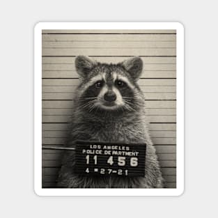 Mugshot Series 4 (Raccoon) by Buck Tee Magnet