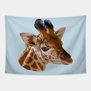 Young Giraffe Tapestry