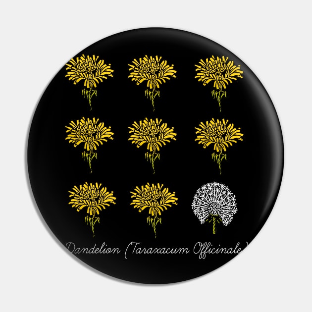 Dandelion Scientific Name Pin by Sunny Saturated