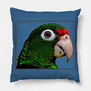 Parrot / Cotorra Pillow