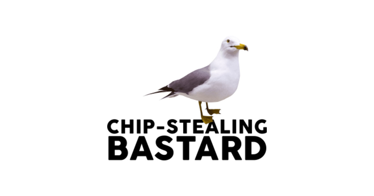 Chip Stealing Bastard Seagulls Seagulls Bird Gift Chip Stealing