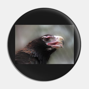 Wedge-Tailed Eagle Pin