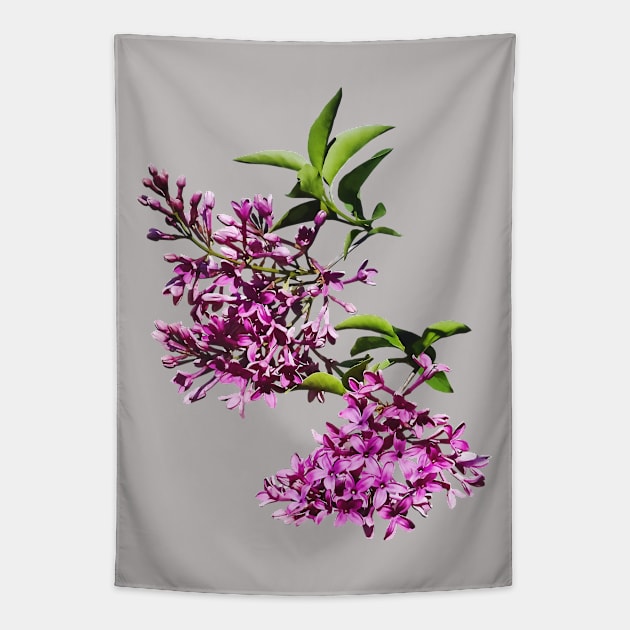 Pink Lilacs and Leaves Tapestry by SusanSavad