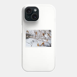 Ice Melts Phone Case