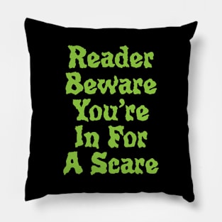 Reader Beware Pillow