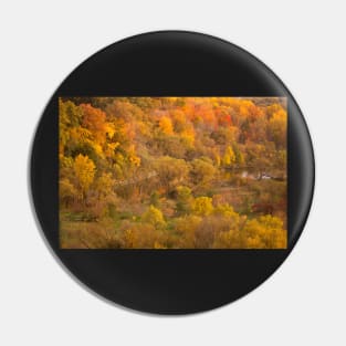 Autumn Pin