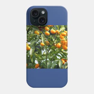 Kumquat tree Phone Case