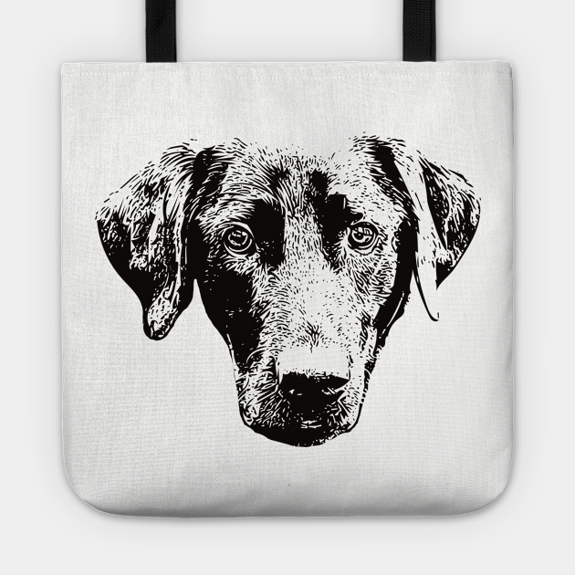 black labrador gifts