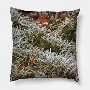 Fall's First Frost Pillow