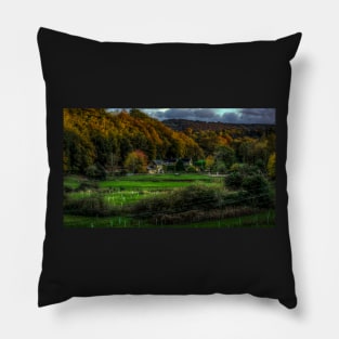 A Horse In A Northumberland Field Pillow