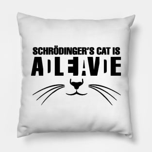 Cat schrodinger funny Pillow