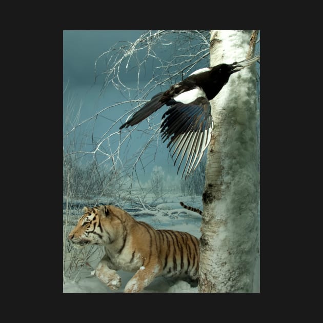 Natural environment diorama - a tiger and a bird in the snow by Reinvention