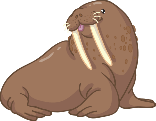 Walrus Magnet