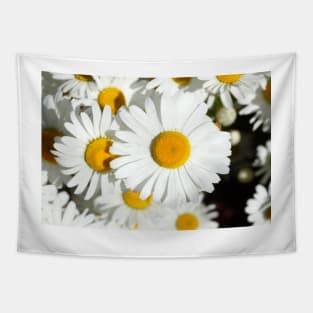 daisies Tapestry