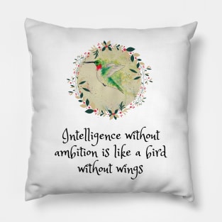 Hummingbird Pillow