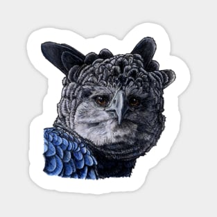 HARPY EAGLE Magnet