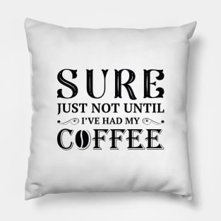 I’ve Had My Coffee Pillow
