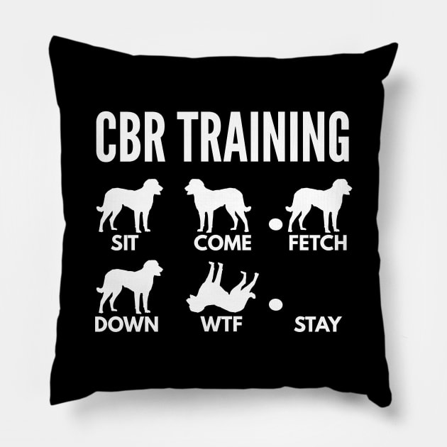 CBR Training Chesapeake Bay Retriever Tricks Pillow by DoggyStyles