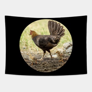 chicken and chicks Tapestry