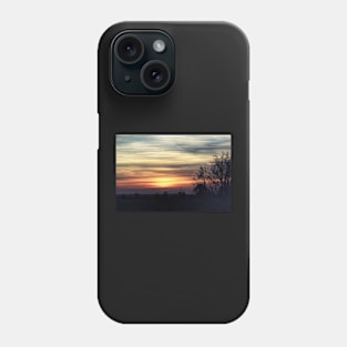 Wild Grasses at Sunset Phone Case