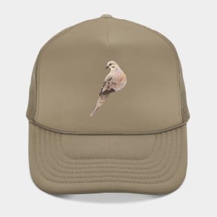 Mourning Dove Hat