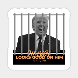 Trump indictment Magnet