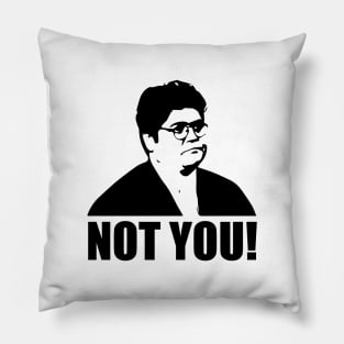 Not you, Guillermo- what we do in the shadows Pillow