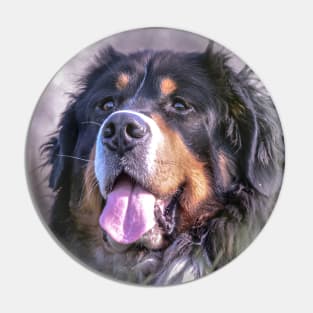 Bernie gift , dog lover, mountain dogs Pin