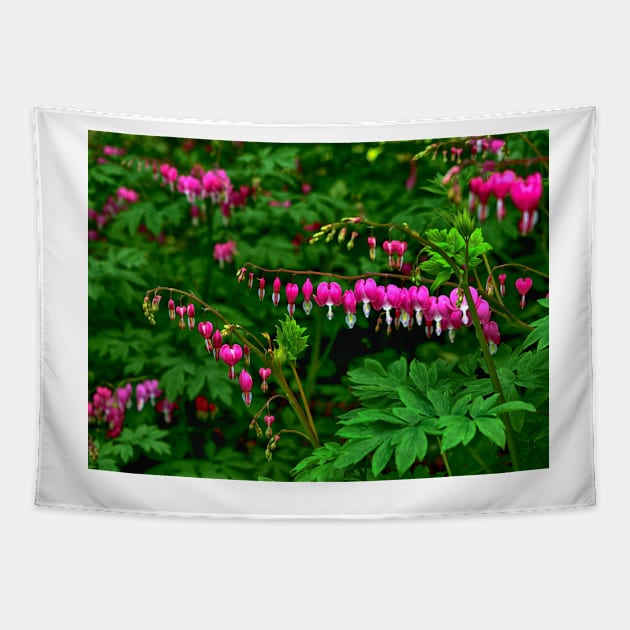 Bleeding Heart Beauty Tapestry by JimDeFazioPhotography