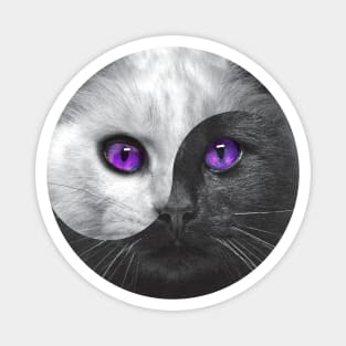 Yin Yang Cats Magnet