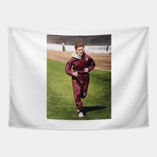 Willie Bauld Training Tapestry