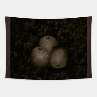 Apples Tapestry