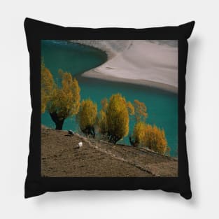 Beautiful landscape, water, trees Pillow