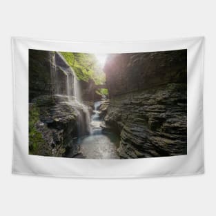 Watkins Glen Tapestry