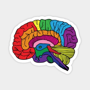 Rainbow Brain Magnet