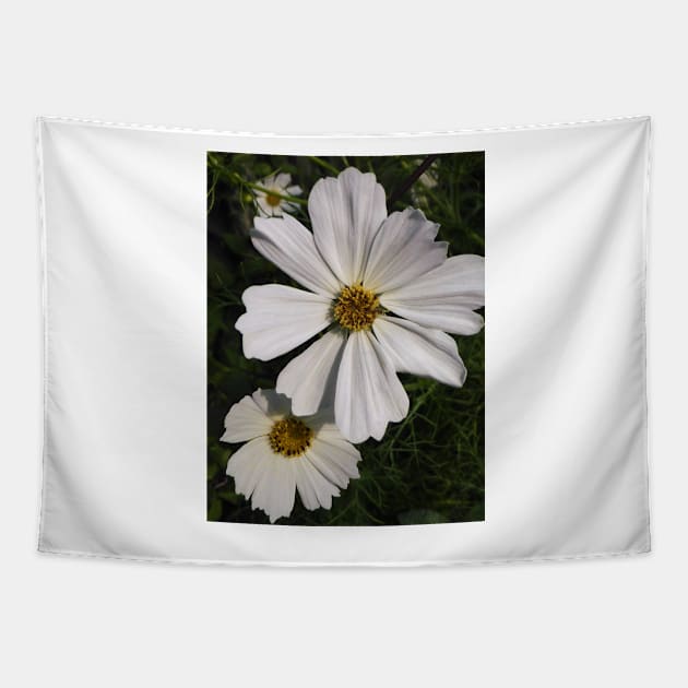 White Cosmos Flowers Tapestry by PictureNZ