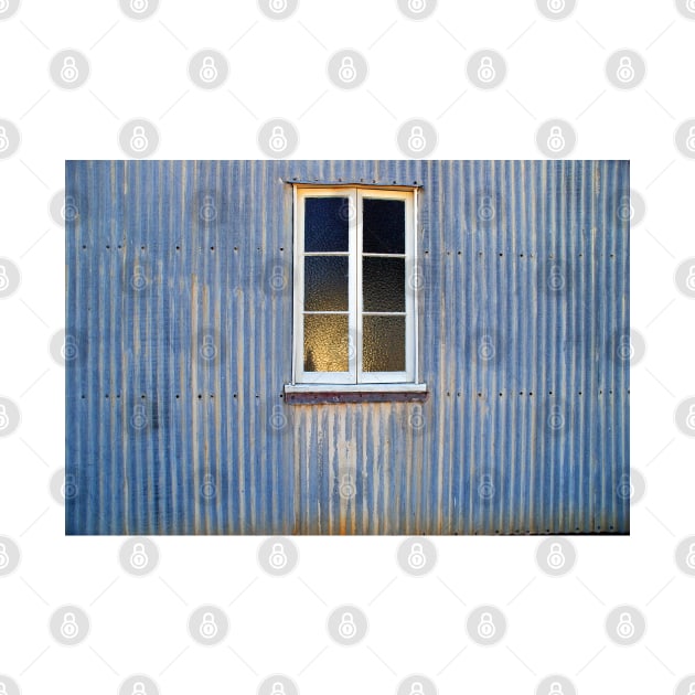 Window in a Corrugated Iron Wall by pops