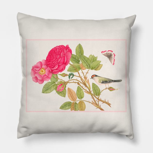 Red Headed Bird on Rose Branch (18th Century) Pillow by WAITE-SMITH VINTAGE ART