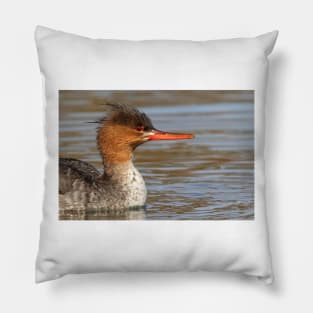 Red-breasted Merganser Pillow