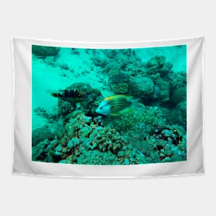coral reef with fish Tapestry