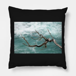 Bare, textured branch in front of green sea. Pillow