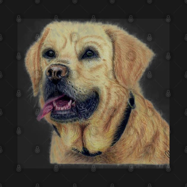 Labrador Dog by Pencil Pusher