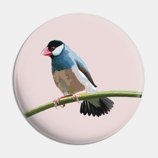 Java Sparrow on a Twig Pin