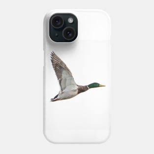 Mallard Duck Phone Case