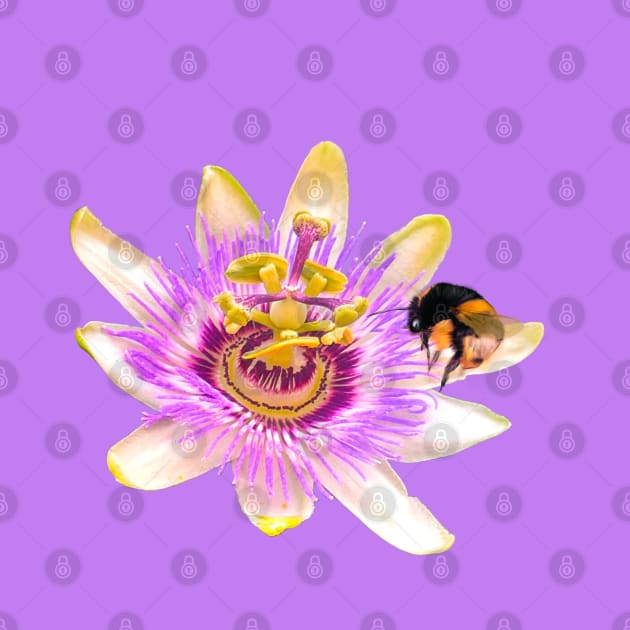 Bee themed gifts for women, men and kids. Blue crown Passion flower with bumble bee - save the bees by Artonmytee