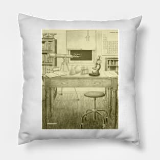 Vintage Laboratory Pillow