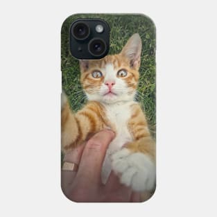 petting an orange tomcat Phone Case