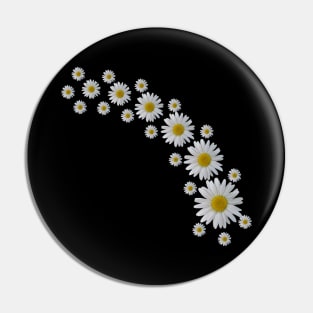 daisy flowers, blooming daisies, blooms Pin