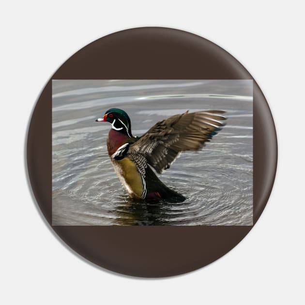 Wood Duck Drake Showing Off Pin by SeaChangeDesign